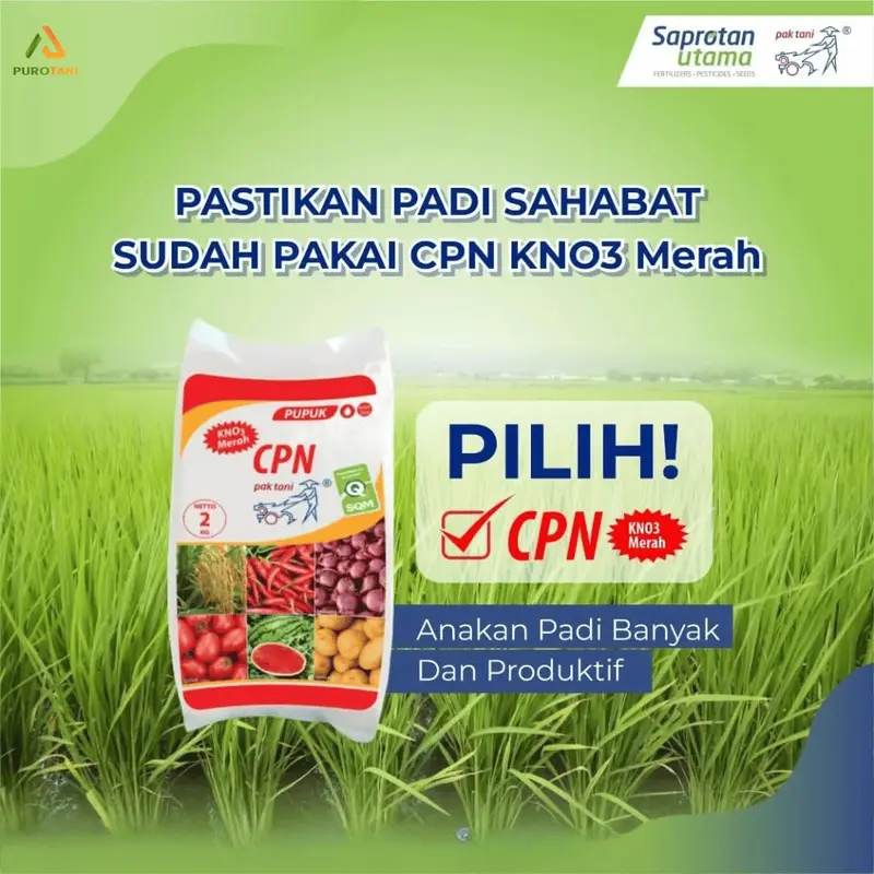 Pupuk Prill CPN KNO3 Merah 2 KG Pak Tani