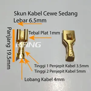 [100 PCS] Skun Kabel / Skun Gepeng