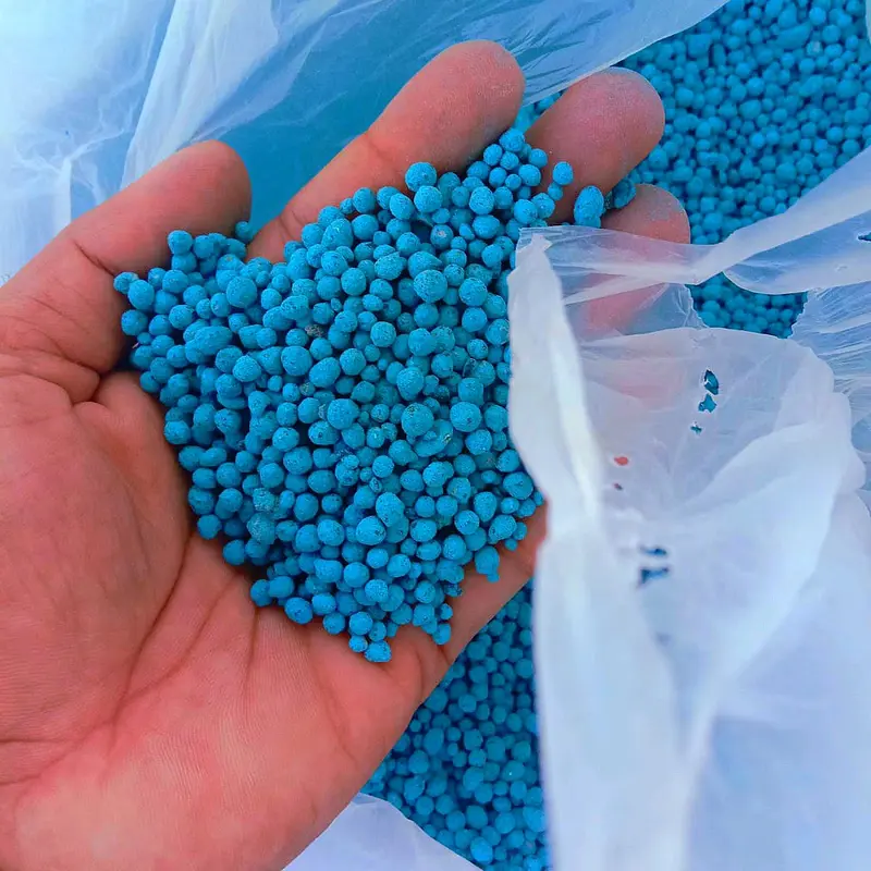 Pupuk Anorganik Jp86. kandungan Magnesium tinggi dan Unsur N.P.K.S+TE .di gunakan untuk semua tanaman keras maupun lunak. bentuk Butiran granul warna biru dan mudah larut. 1