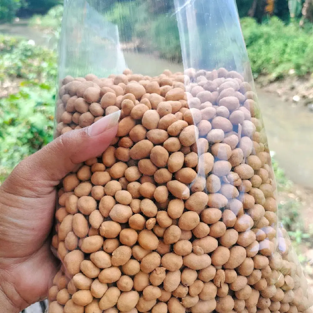 (GRATIS ONGKIR & PALING MURAH)Kacang Telor Manis kualitas Premium 1kg Snack Makanan Food Goreng