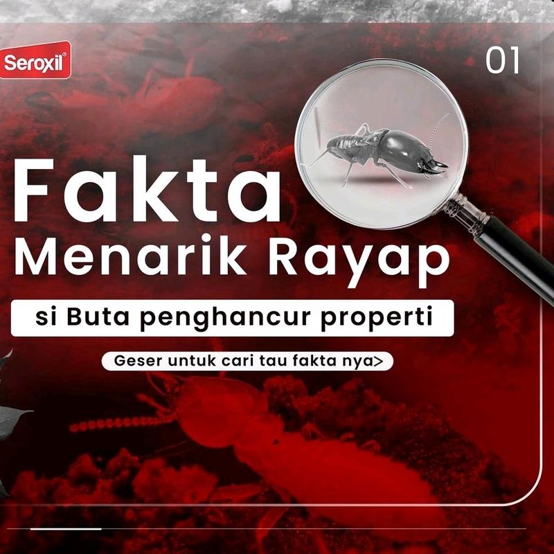 [AC] SEROXIL ANTI RAYAP AEROSOL - BASMI RAYAP KAYU DAN TANAH - ANTI RAYAP AMPUH 500ML - OBAT RAYAP RUMAH VIRAL - PEMBASMI SERANGGA 1
