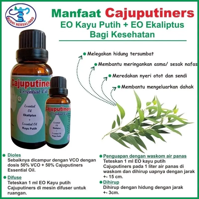 Essential Oil Cajuputiners
