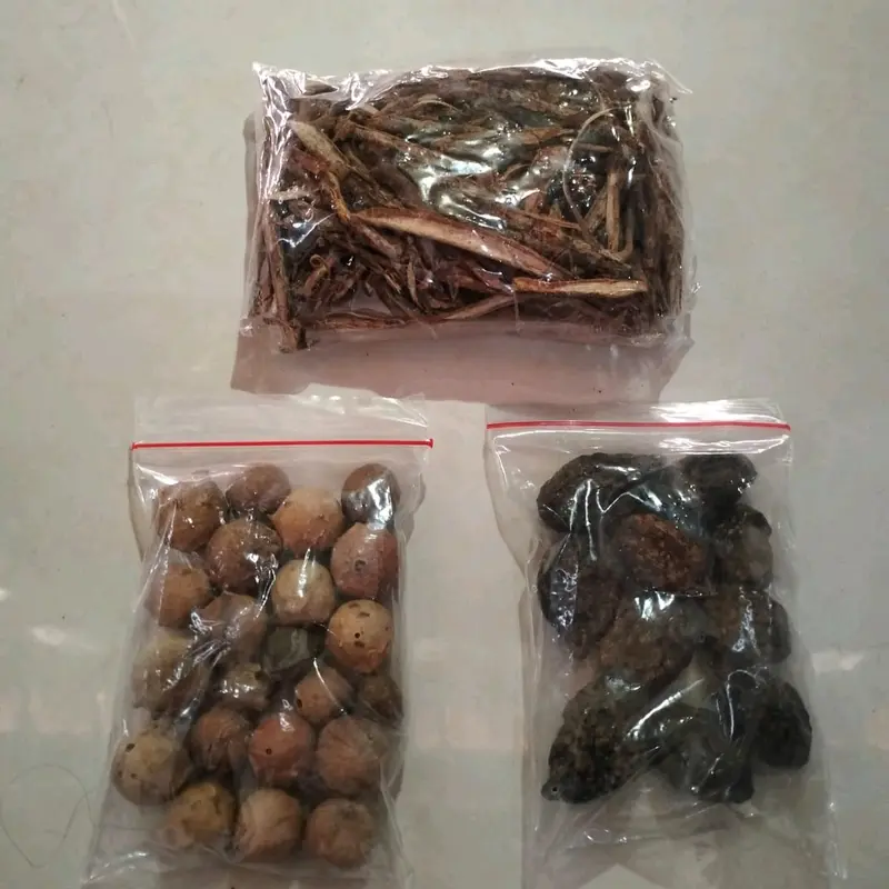Tempuyang Kayu Rapet dan Majakani/paket 3 in 1 berat 150 gram Tea 2