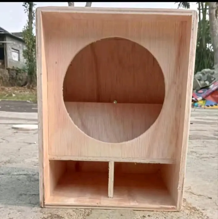 BOX SPEAKER MINISCOOP 10 INCH