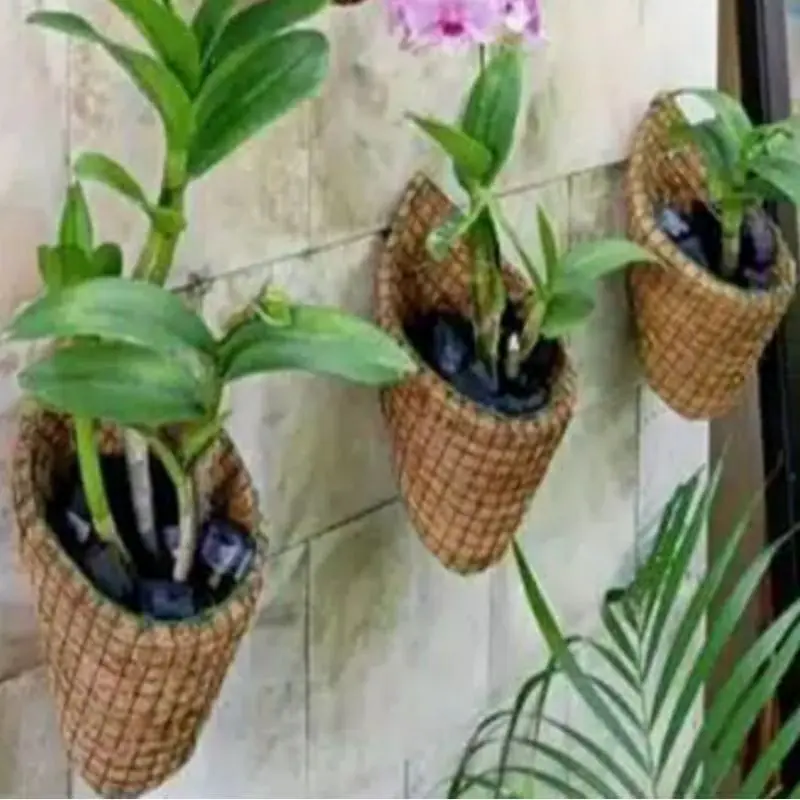 Pot anggrek tempel dinding serabut kelapa Bunga Pvc 0