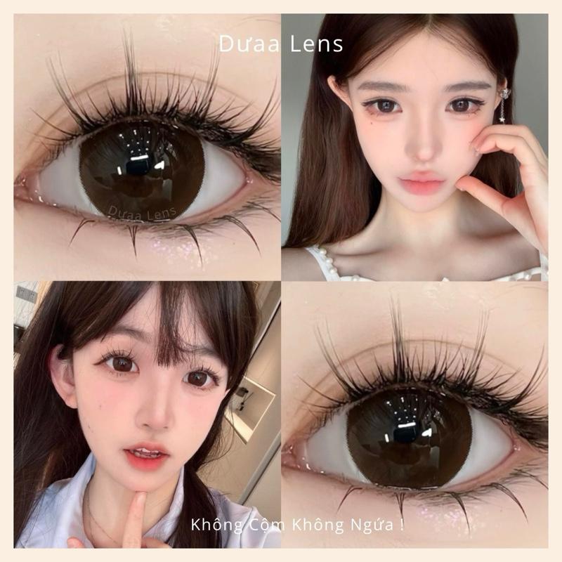 DƯAA LENS - Kính Áp Tròng Màu Cosy Choco Nâu Đen Tự Nhiên Đeo Hằng Ngày nâu lạnh len 14.5mm giãn