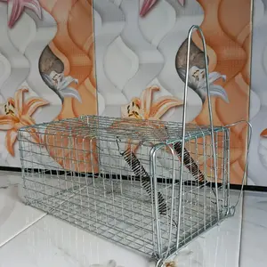 Perangkap Tikus Jebakan Tikus Kunci Otomatis Dilengkapi dua Pir Pegas Kuat Bahan Kawat Galvanis Tebal untuk Kontrol Tikus Efektif