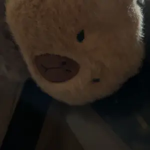 Penutup Telinga Earmuff Capybara Bulu Halus Ear Muff Capibara dengan Desain Lucu dan Nyaman untuk Musim Dingin Anti Bising