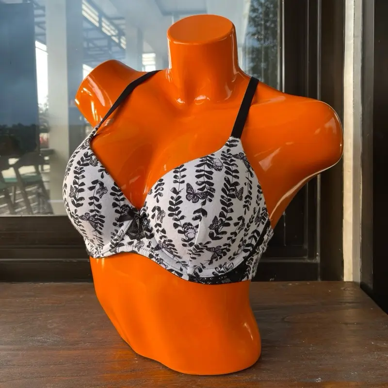 {La Sassy} Bra SALE LAST PIECE!! Mix Brand!! 6