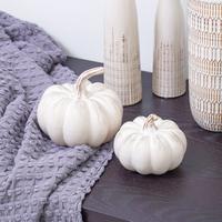 Gambar Informa 10 cm Patung Miniatur Labu Ss - Krem Pajangan Dekorasi Halloween Thanksgiving Koleksi Souvenir dari Informa Indonesia Kota Administrasi Jakarta Utara 2 Tokopedia