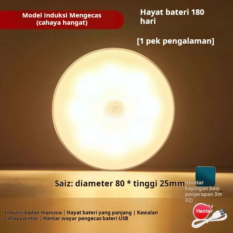 LumiSense Pro Detail