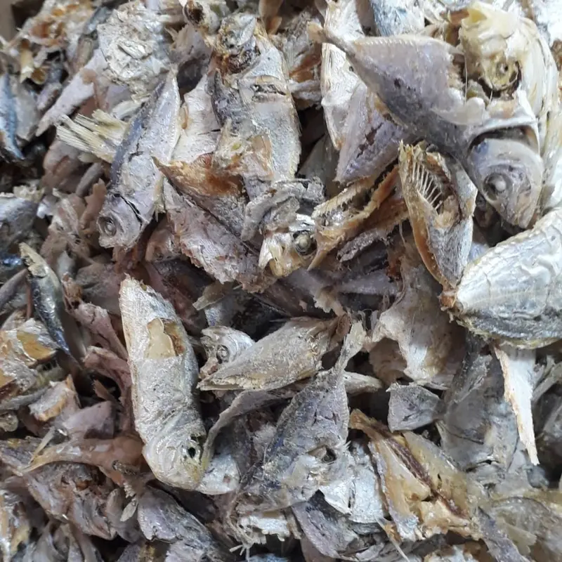 Ikan Asin Sampah Campur Medan Super 250gram 2