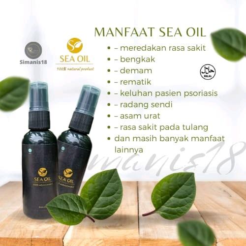 [BISA COD] Ayriz Oil 50ml Travel Pack 100% Original Minyak Herbal Trapi Balur Nusantara 2