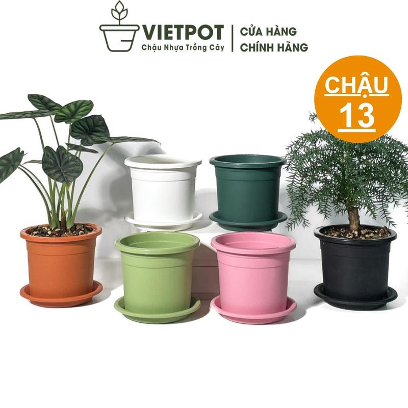 Chậu nhựa trồng cây Vietpot, size 13x11, trơn, chính hãng, kiếng lá, hoa, sen đá, bàn làm việc.