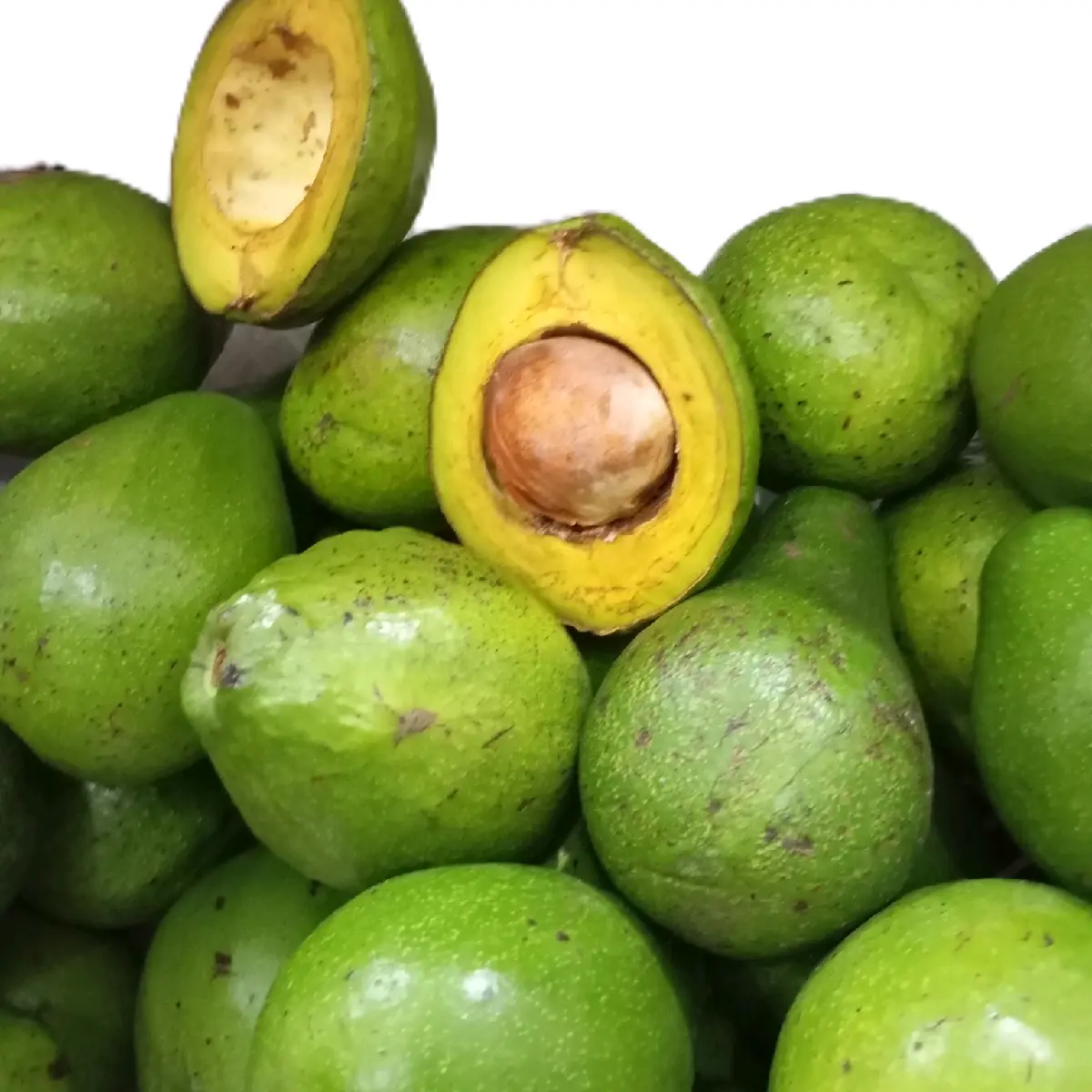 Alpukat mentega Sedang 2kg 8-9 buah buah segar kecil