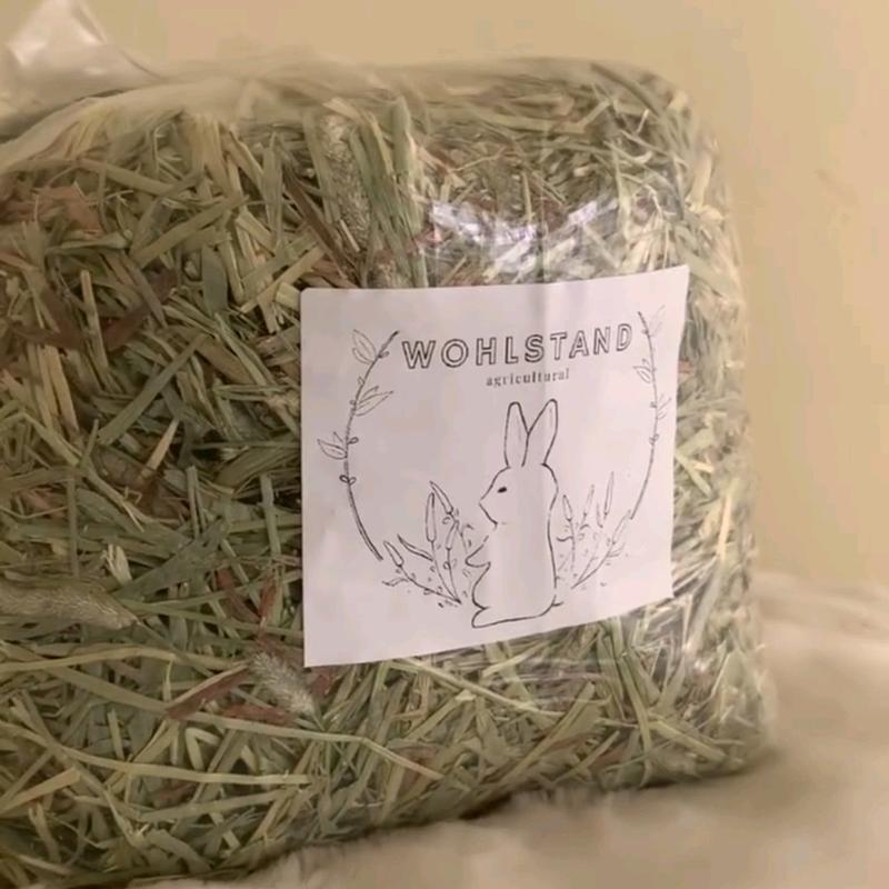 makanan kelinci rumput timothy hay untuk kelinci kesayangan 0