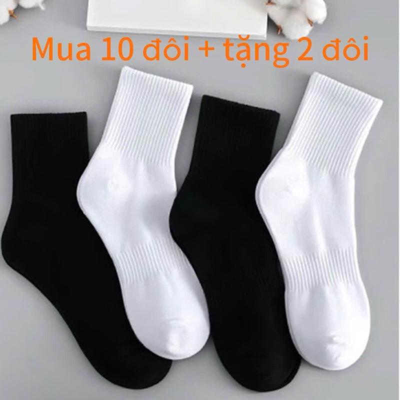 Mua 10 Tặng 2 Set 10 Đôi Tất Vớ Dệt Kim Cao Cổ Có Lưới Thoáng Khí màu đen trắng cotton nam nữ Unisex phukien dày dặn êm ái