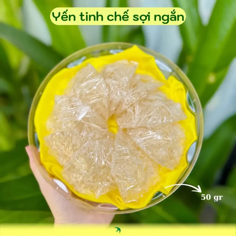 Yến sào Khánh Hoà sợi ngắn nguyên chất tặng kèm quà
