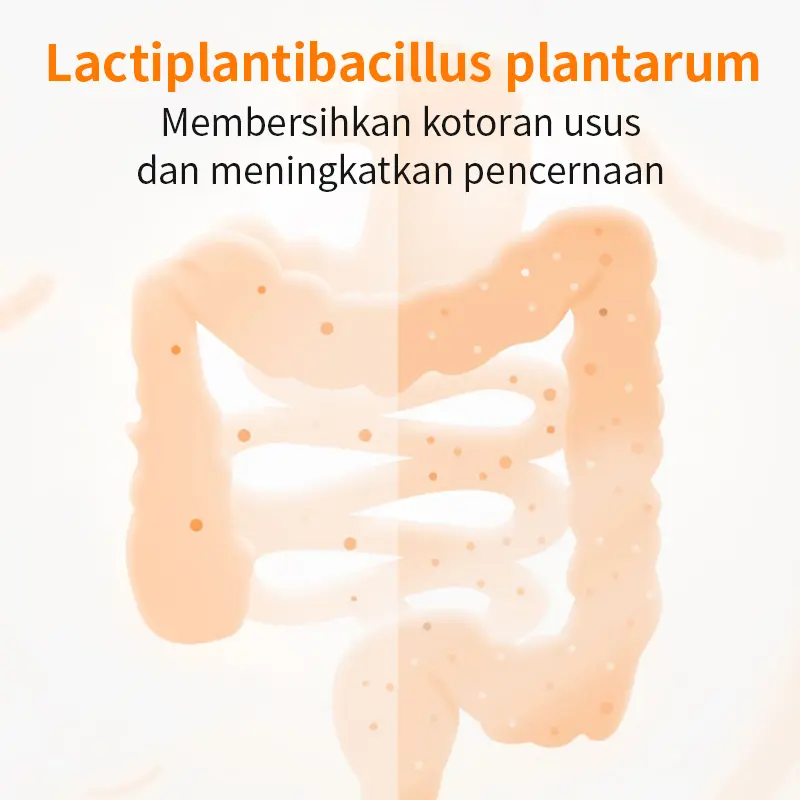 PUAINTA Probiotik Anjing Dan Kucing Atasi Diare Muntah Dan Gangguan Pencernaan Menjaga Kesehatan Usus Anabul suplemen pencernaan hewan 1 Box/10 Strip 7