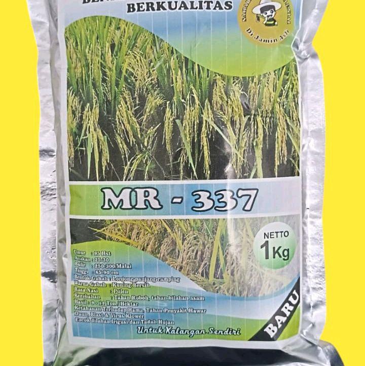 Benih padi MR337 Original 0