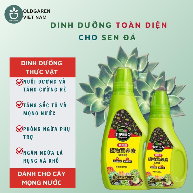 Dung dịch dinh dưỡng toàn diện chuyên dụng cho cây sen đá