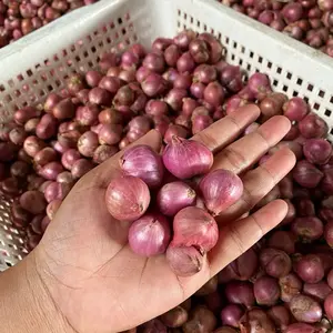 Bawang Merah Sulawesi Campur