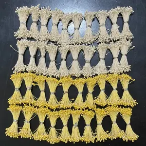 Putik Sari Bunga (+-100pcs/ikat)