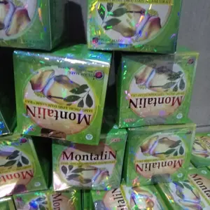 Promo 1 box isi 10 sachet Montalin Original