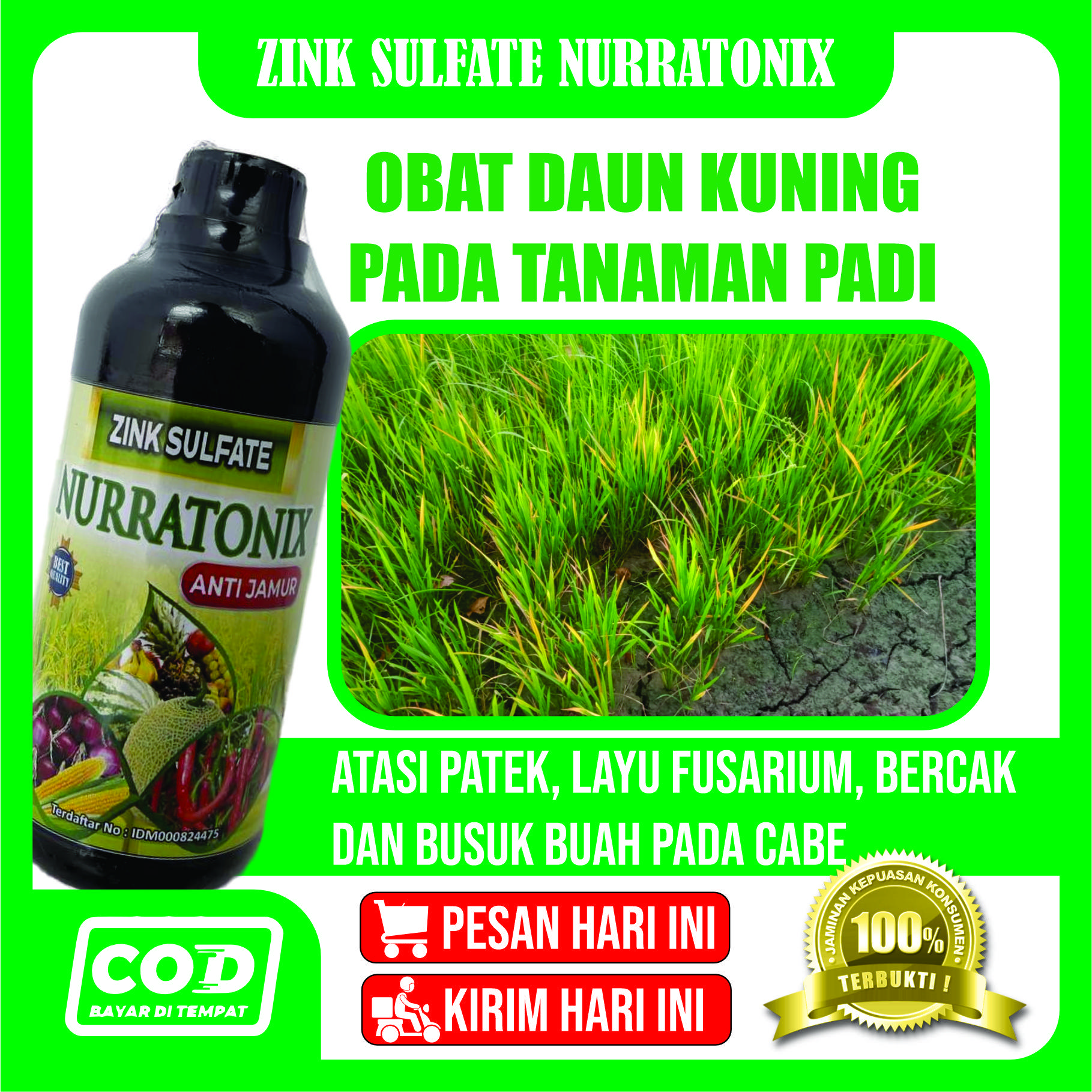 Obat Daun Kuning Pada Padi ZINK NURRATONIX ANTI JAMUR Obat Daun Kuning - Obat Daun Busuk - Obat Daun Layu - Obat Daun Padi Menguning - Obat Alami Padi Daun Kuning Dijamin Atasi Penyakit Kuning Pada Padi Jamur Merah