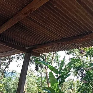 Paket Lampu Strip 5050 SMD 10meter /Lampu LED Strip Leadless SMD PVC IP65 Waterproof/ Lampu Hias Anti Air/Sudah Termasuk Soket