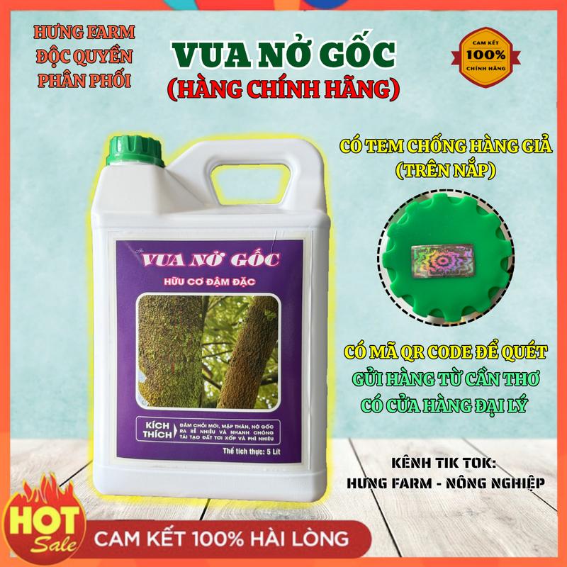  CHÍNH HÃNG  Phân Bón Vua Nở Gốc Can 5 Lít Chuyên Dùng Cho Cây Kém Phát Triển - Đạm Hữu Cơ 