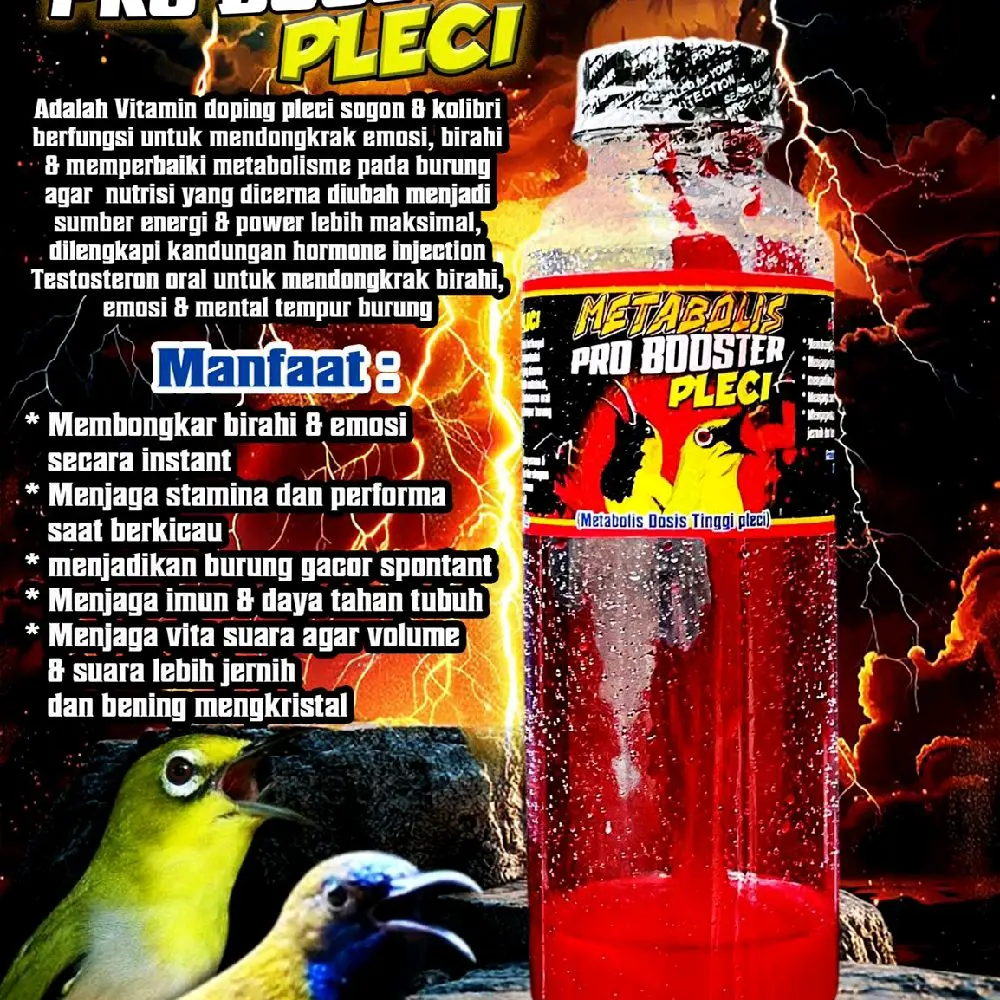 Pakan racikan pleci Pro Booster Pleci 250 ml merah /magic kicau Makanan Pakan Harian Burung penggacor seketika pleci sogon kolibri