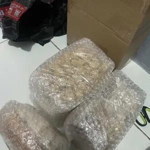 Sakura Pilus Zeko dengan Rasa Barbeque - Makanan Ringan Nikmat dan Gurih