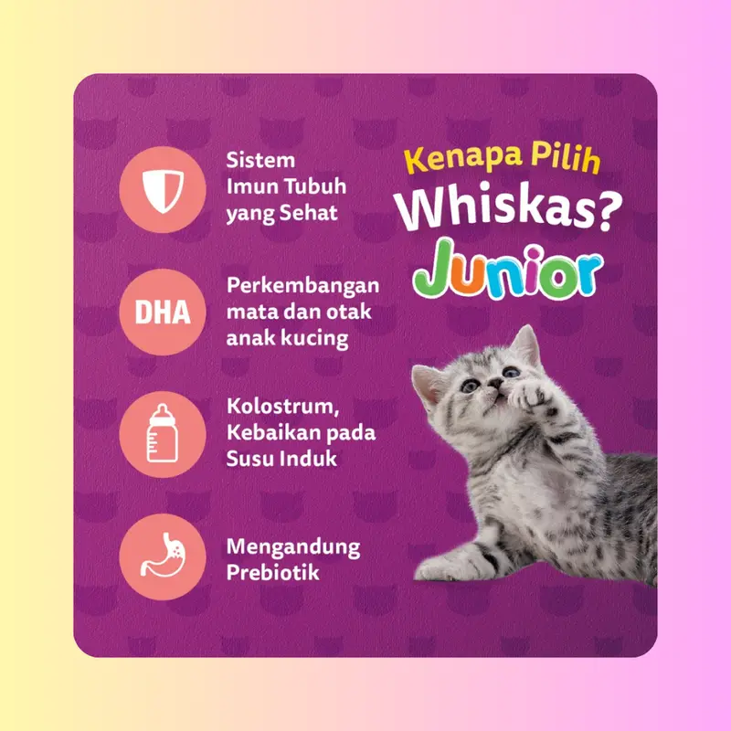 whiskas kering repack 800 gram kering makanan kucing dewasa 1+ Adult 3
