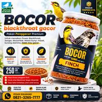 Gambar Makanan Burung CAROLL BOCOR Blackthroat Sanger Mozambik Sehat Gacor dari Seputar Burung Indonesia Kab. Sukoharjo 4 Tokopedia