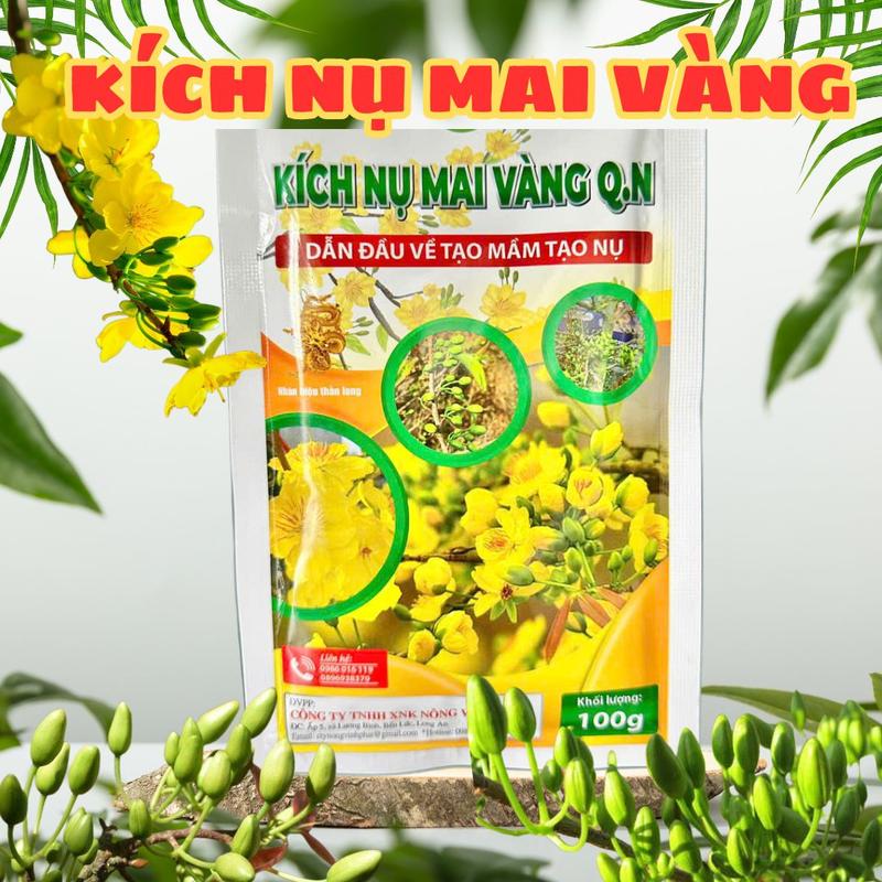  Kích Nụ Mai Vàng 100g - Tăng Số Lượng Hoa & Sức Đề Kháng Cho Cây 