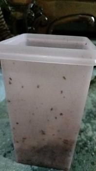 Product Review of Basreng Aceh Store Campur 1kg (500gr Stik Pedas + 500gr Stik Original) from I** U**h 1