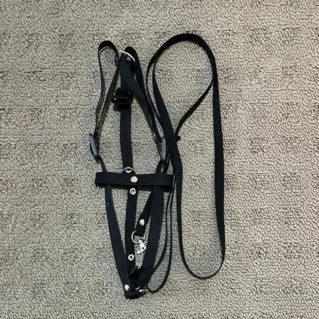 Harness Semua Jenis Kelinci 1