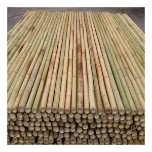 bambu gantungan baju 2 meter