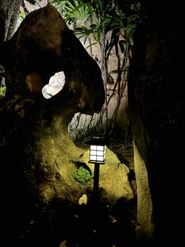 Product Review of Lampu Taman Solar Tenaga Surya | Lampu Taman Tancap | Garden Lamp BIT-LT011 from W**e F**y 0