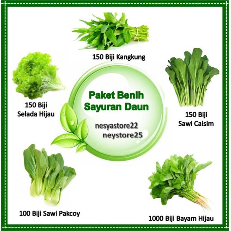Paket Benih Bibit Sayur Sayuran Daun Benih Kangkung Caisim Bayam Hijau Sawi Pakcoy Selada Hijau - Benih Sayur 0