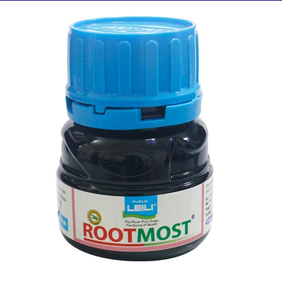 Rootmost / Perangsang Akar