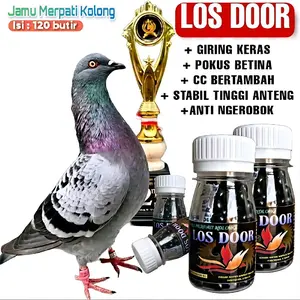 Jamu Los Door Merpati kolong isi 120 butir giring keras setut kencang raja sprint turun super ngeboom pil edan hercullest elite99