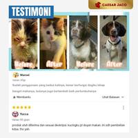 Gambar Vitamin Kucing Nafsu Makan Berat Badan Kurus Bulu Rontok Kusam - 50gr dari Caesar JacO Kota Administrasi Jakarta Barat 5 Tokopedia