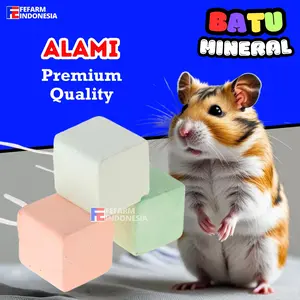 Gnawing Stone Hamater Batu Mineral Gigitan Hamster FEFARM