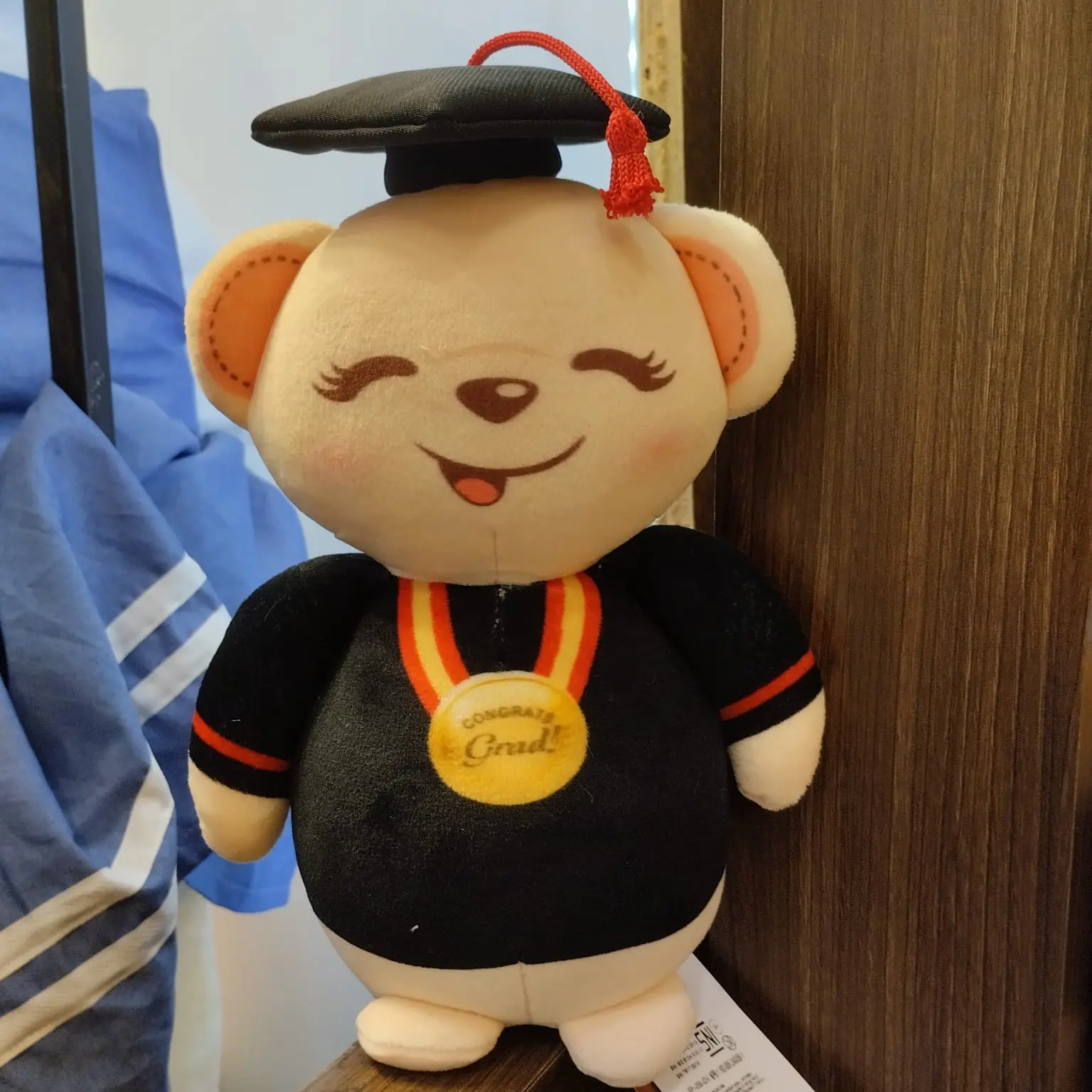 ISBON, BONITA 9 INCHI W/WISUDA, +3TH, MAINAN, EDUKASI