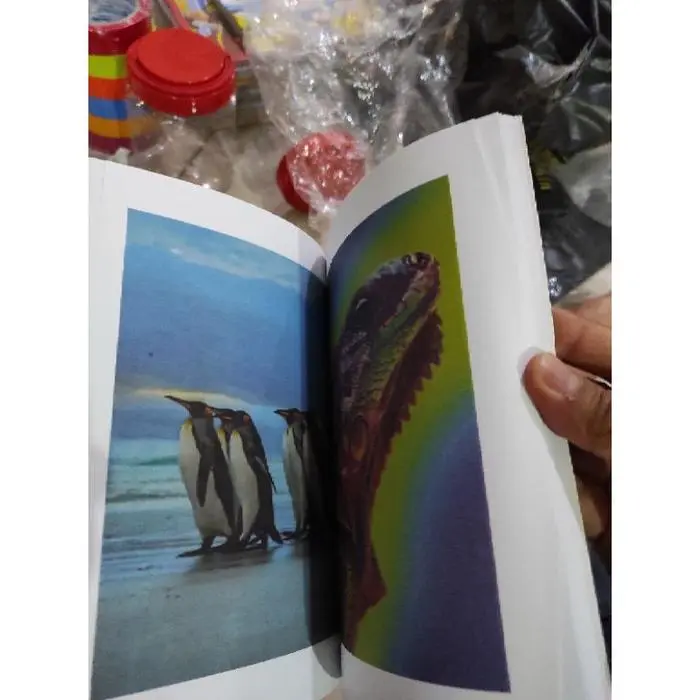 Lll Mainan Sulap Buku - Magic Coloring Book - Buku Ajaib - Gimmick Buku - Art Alat Sulap .