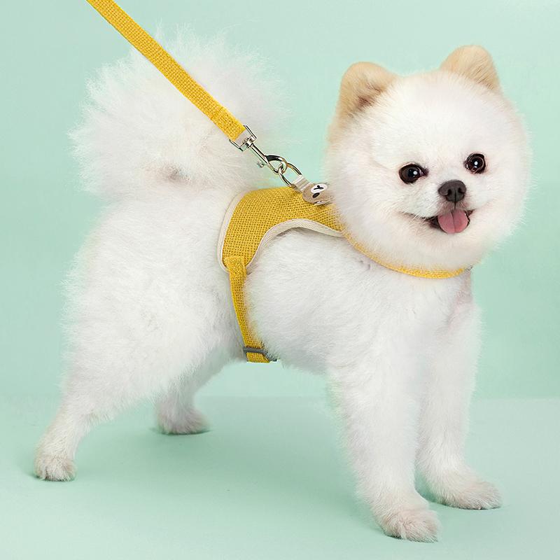 Product Introduction of Cute Pet Harness Leash Set for Small Mid Dogs Cat Walking Lead Chihuahua Bunny Vest Harness Poodle Collar Leash Dog Accessories 14