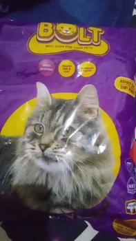 Product Review of Makanan Kucing Bolt 800gr dan 1kg All Varian Repack Adult dan Kitten whiskas from N**a 0