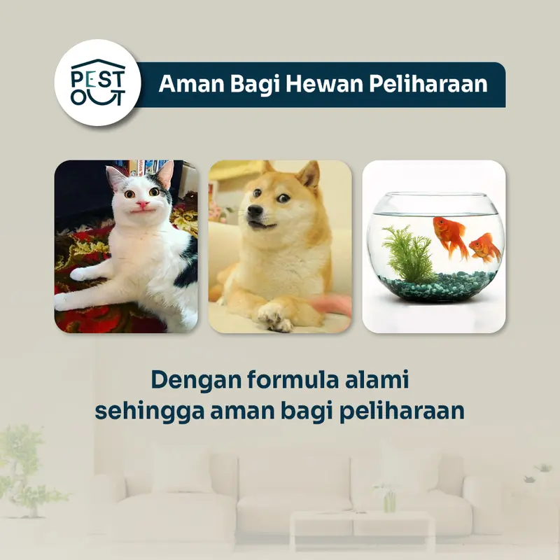Semprotan Pengusir Tikus Rodent Repellent 250 ml Cairan Obat Pembasmi Tikus Ampuh Bukan Racun 2
